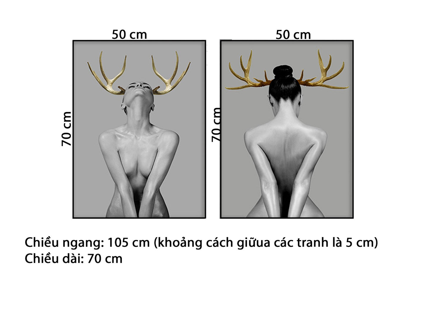 Bộ 2 Tranh Cô Gái Cá Tính - HD713