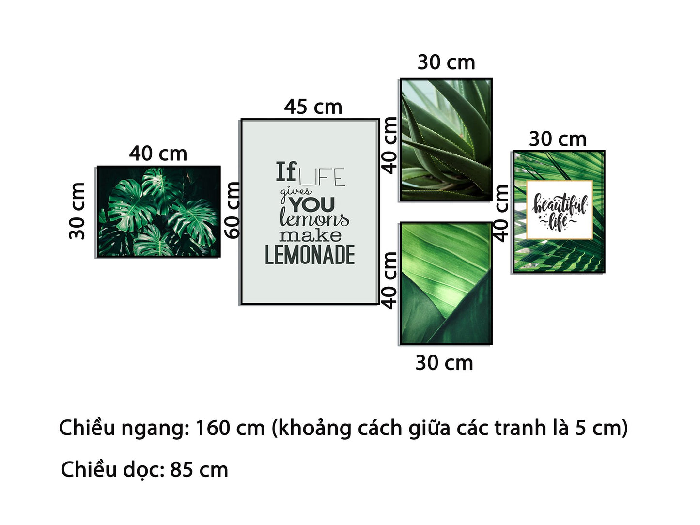 Bộ 5 Tranh Lá Cây Xanh Và Quotes - HD686