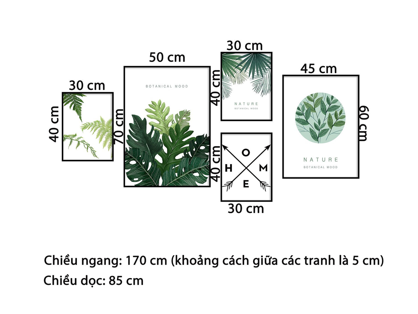 Bộ 5 Tranh Lá Cây Xanh - HD683