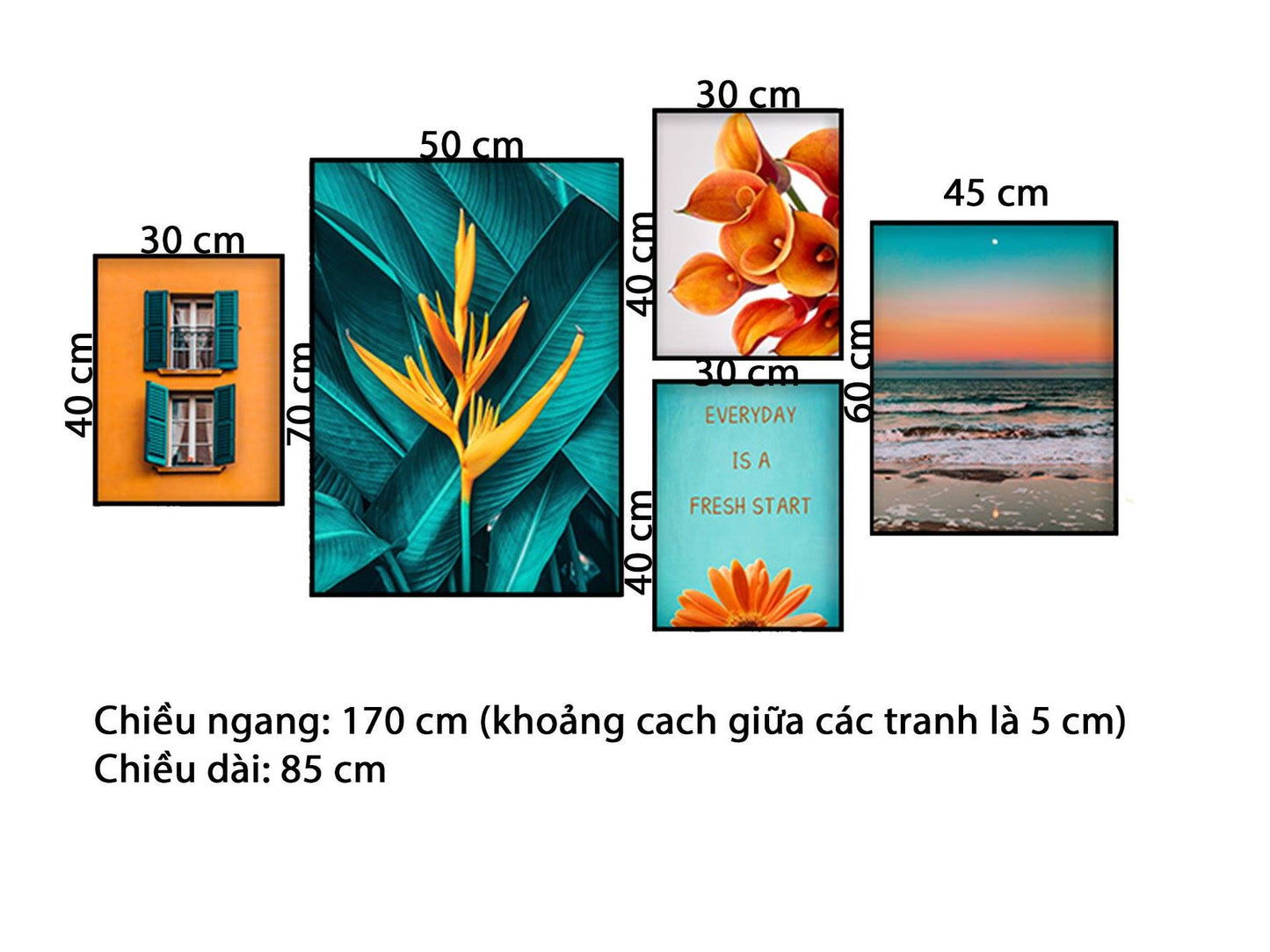 Bộ 5 Tranh Hoa Lá, Khung Cửa Sổ Và Biển Cả - HD704