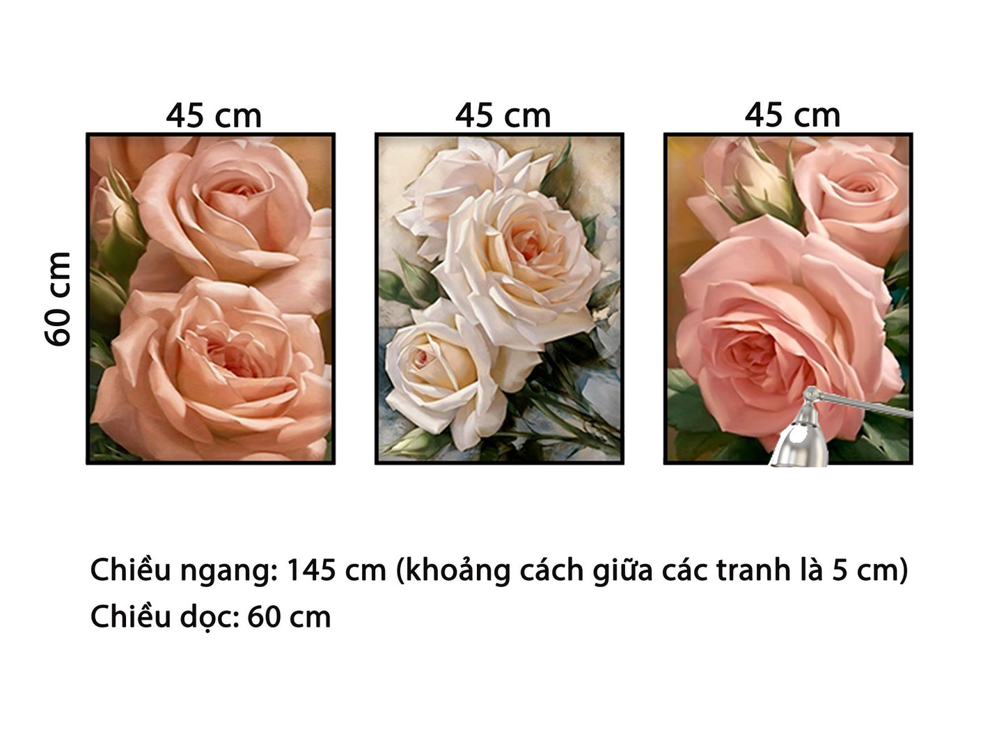 Bộ 3 Tranh Hoa Hồng Sang Trọng - HD719