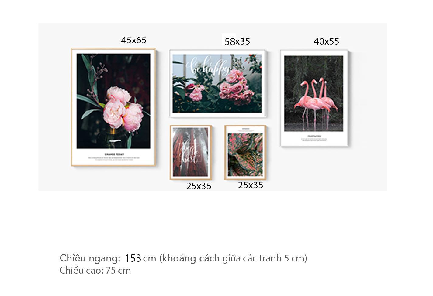 Bộ 5 Tranh Hồng Hạc Và Mẫu Đơn - HD369