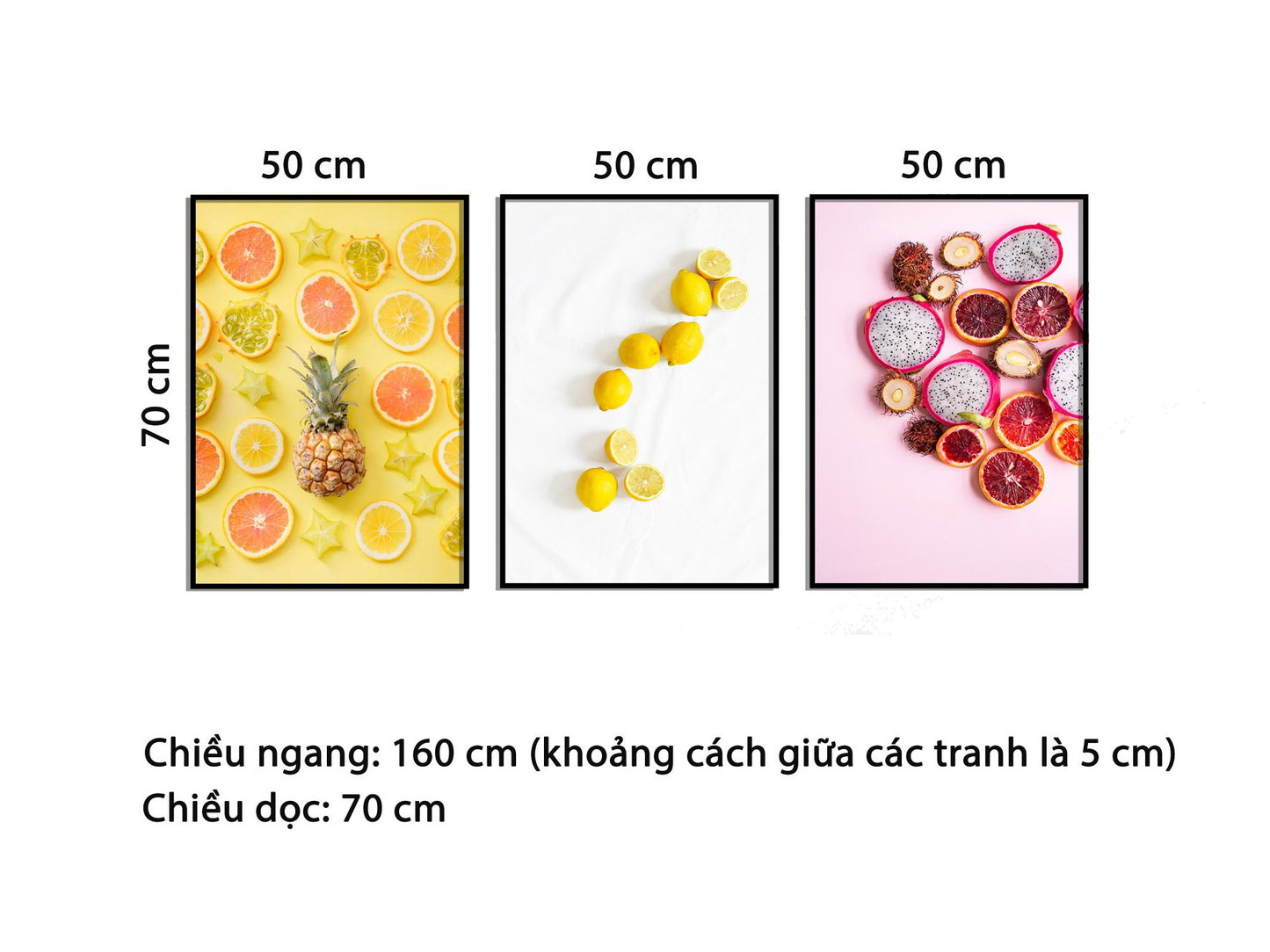 Bộ 3 Tranh Trái Cây Sắc Màu - HD696