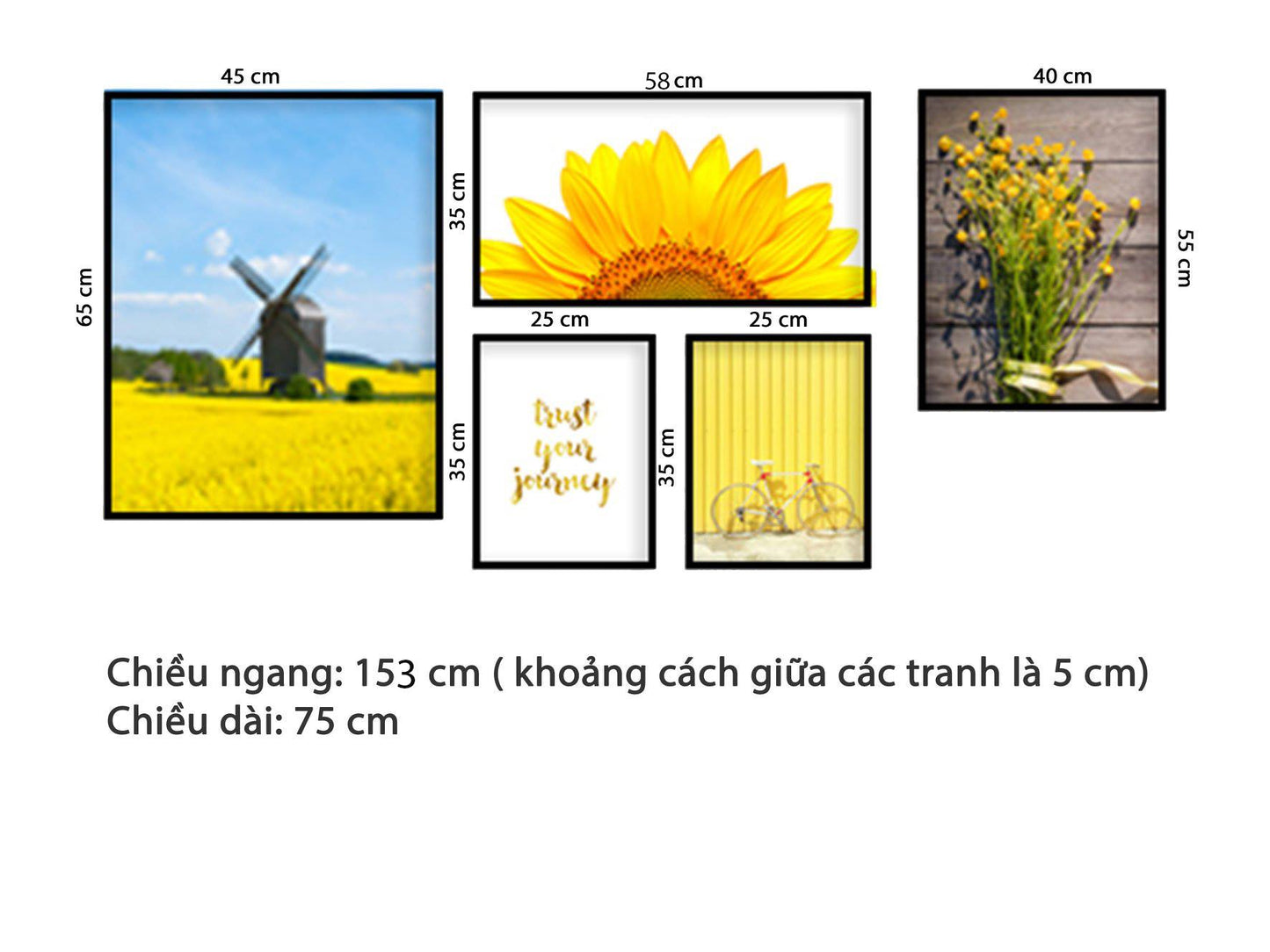 Bộ 5 Tranh Chùm Hoa, Cối Xay Gió, Chiếc Xe Đạp, Hoa Hướng Dưỡng Và Quotes - HD526