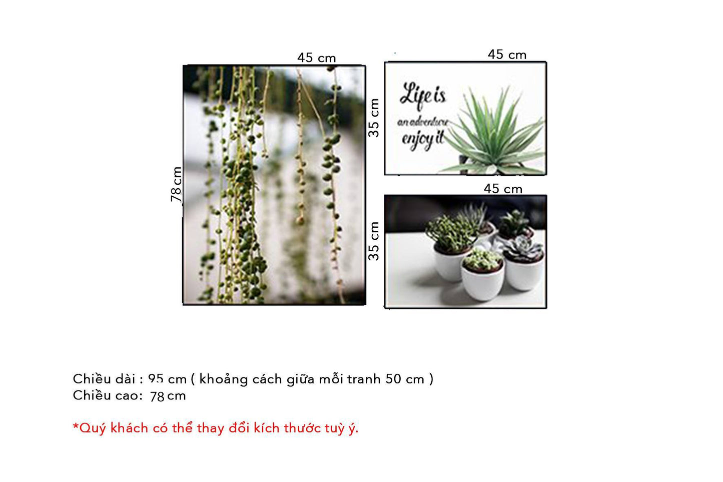 Bộ 3 Tranh Sen Đá, Xương Rồng Và Nhành Cây - HD136