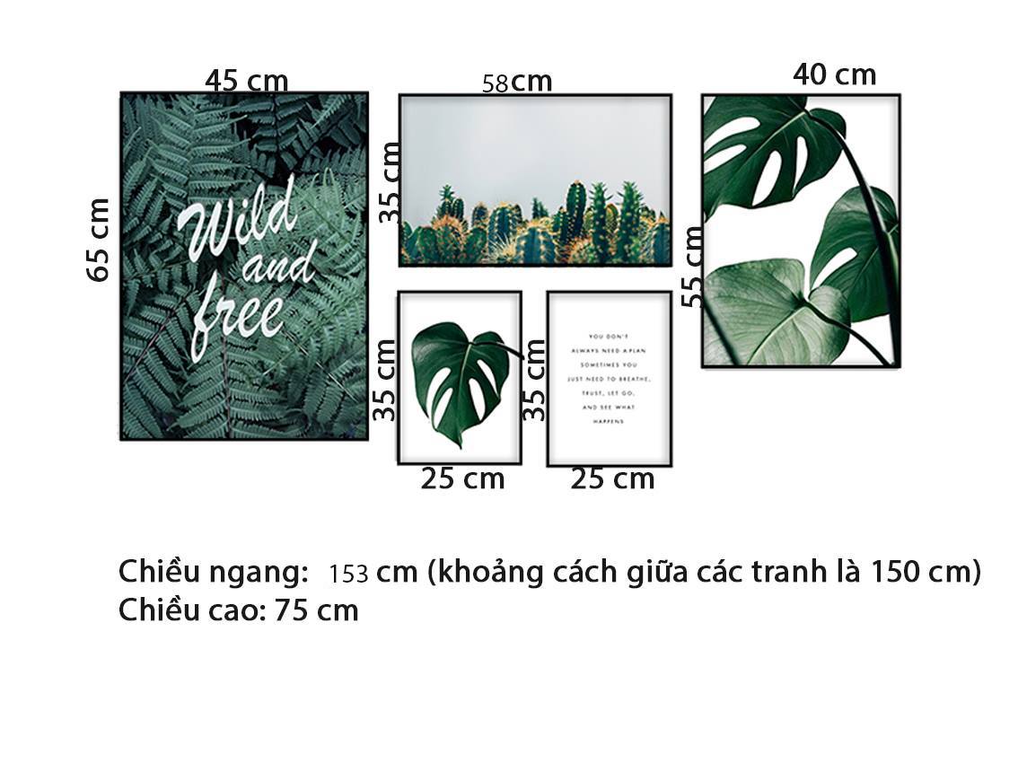 Bộ 5 Tranh Cây Xanh Thiên Nhiên - HD624