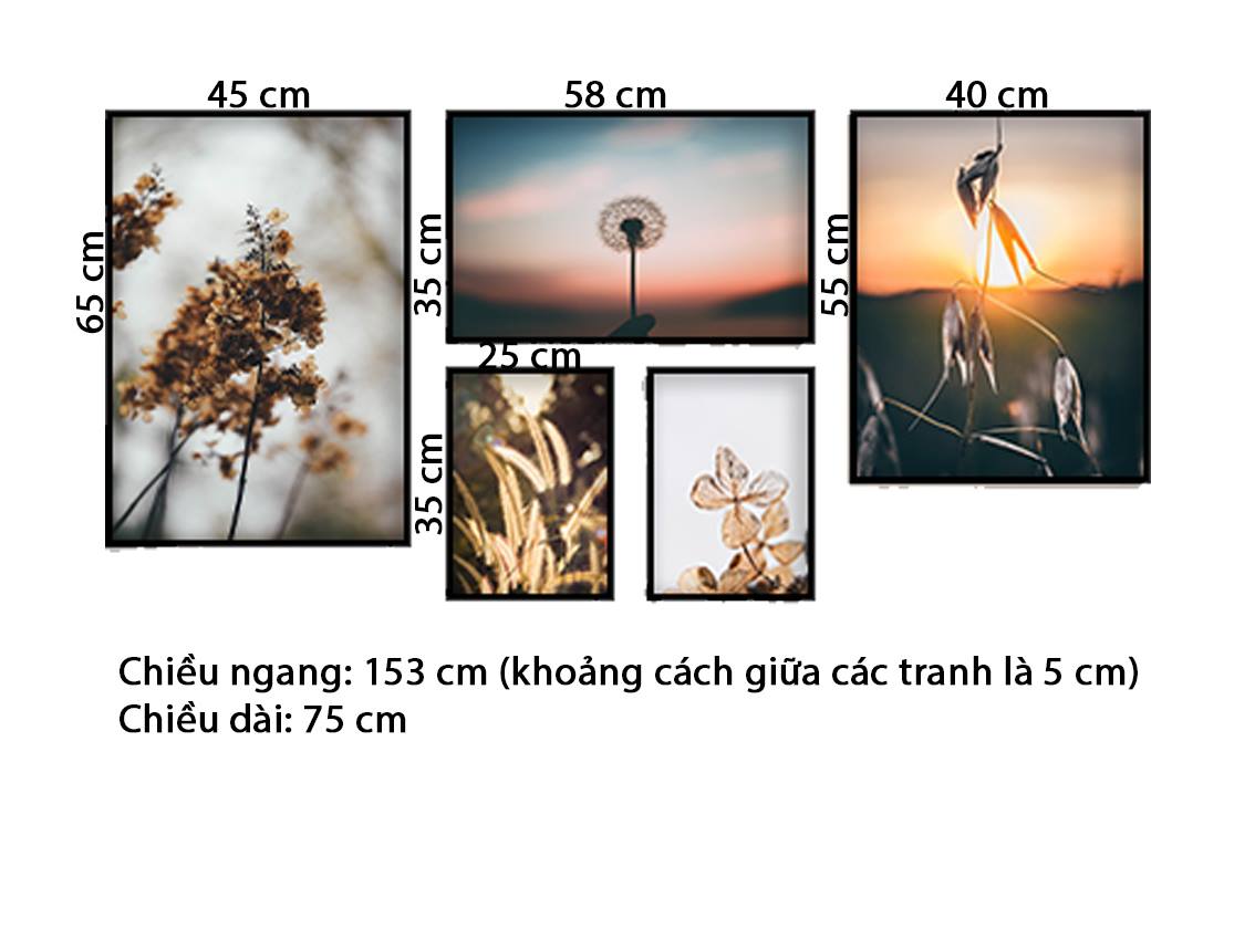 Bộ 5 Tranh Hoàng Hôn Trên Lá Cây - HD758