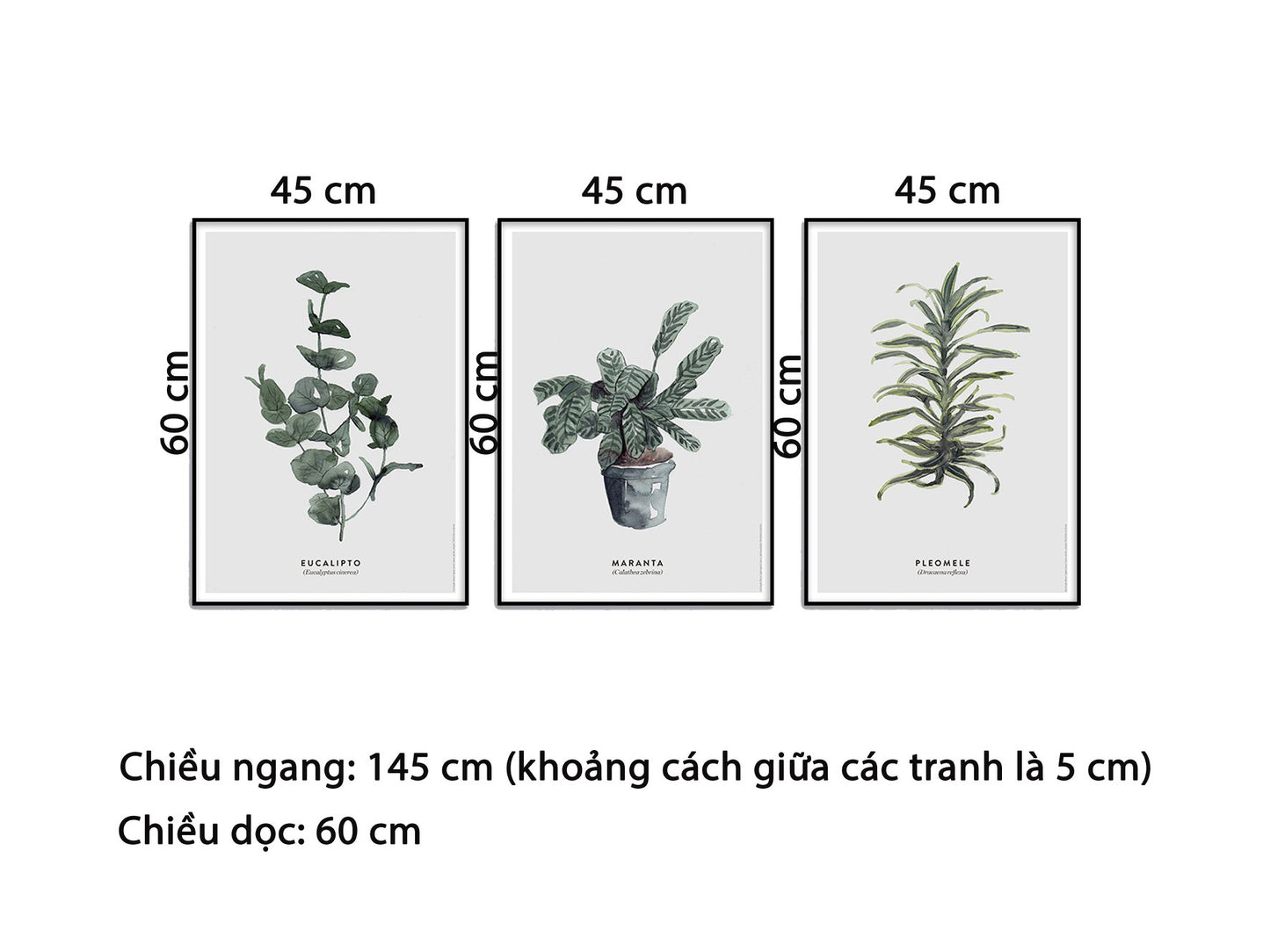 Bộ 3 Tranh Lọ Cây Xanh - HD707