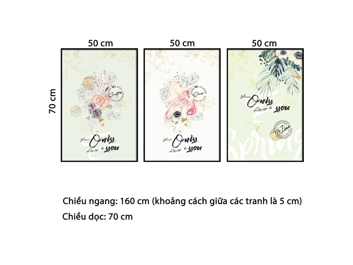 Bộ 3 Tranh Vẻ Đẹp Nhẹ Nhàng Của Hoa - HD781