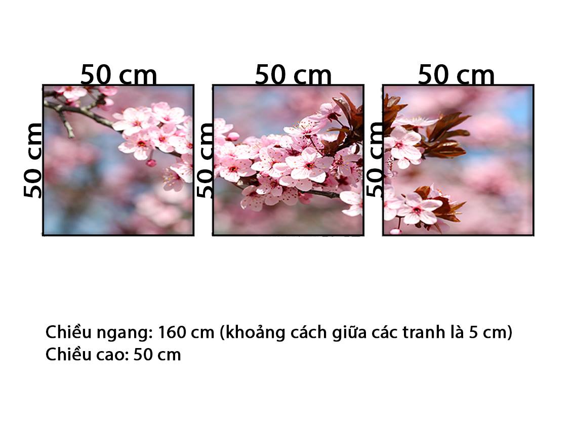 Bộ 3 Tranh Hoa Anh Đào Nở Rộ - HD734