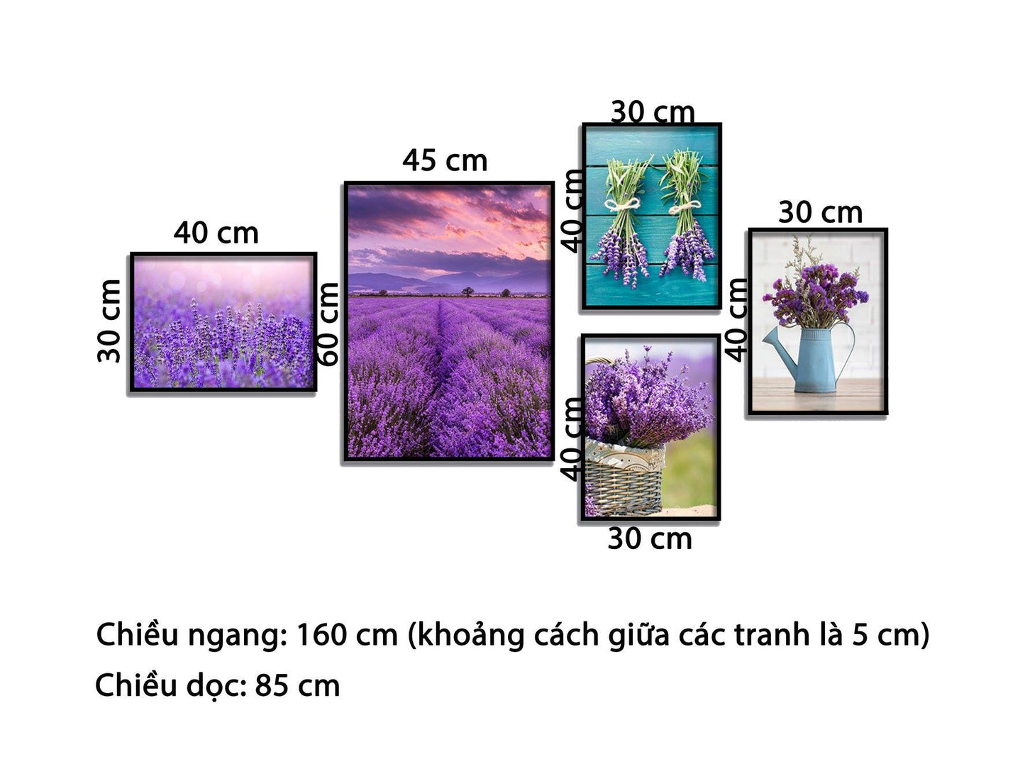 Bộ 5 Tranh Vườn Hoa Tím Mộng Mơ - HD821