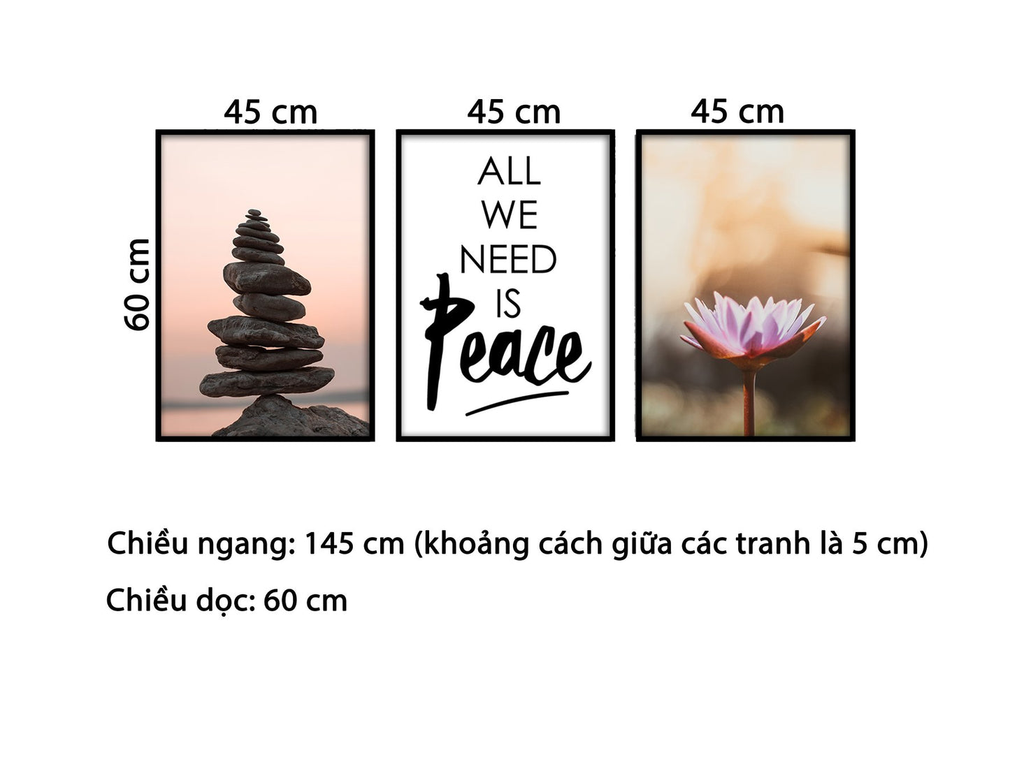 Bộ 3 Tranh Hoa Sen, Viên Đá Và Quotes - HD813