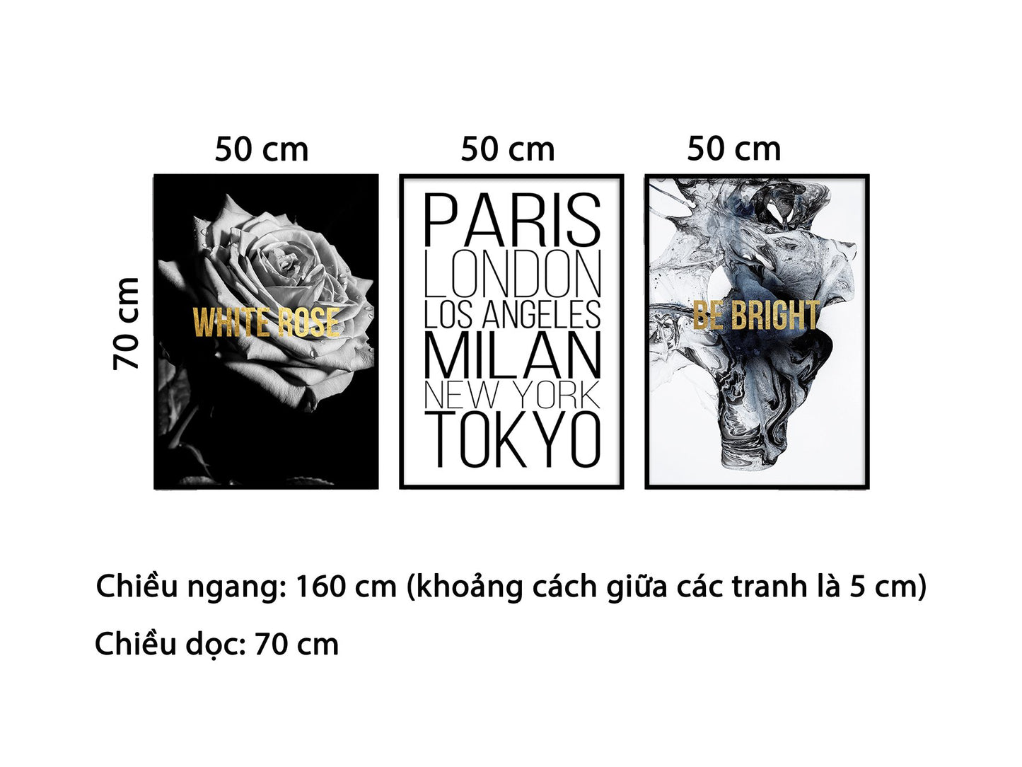 Bộ 3 Tranh White Rose Đẳng Cấp Và Quotes - HD804