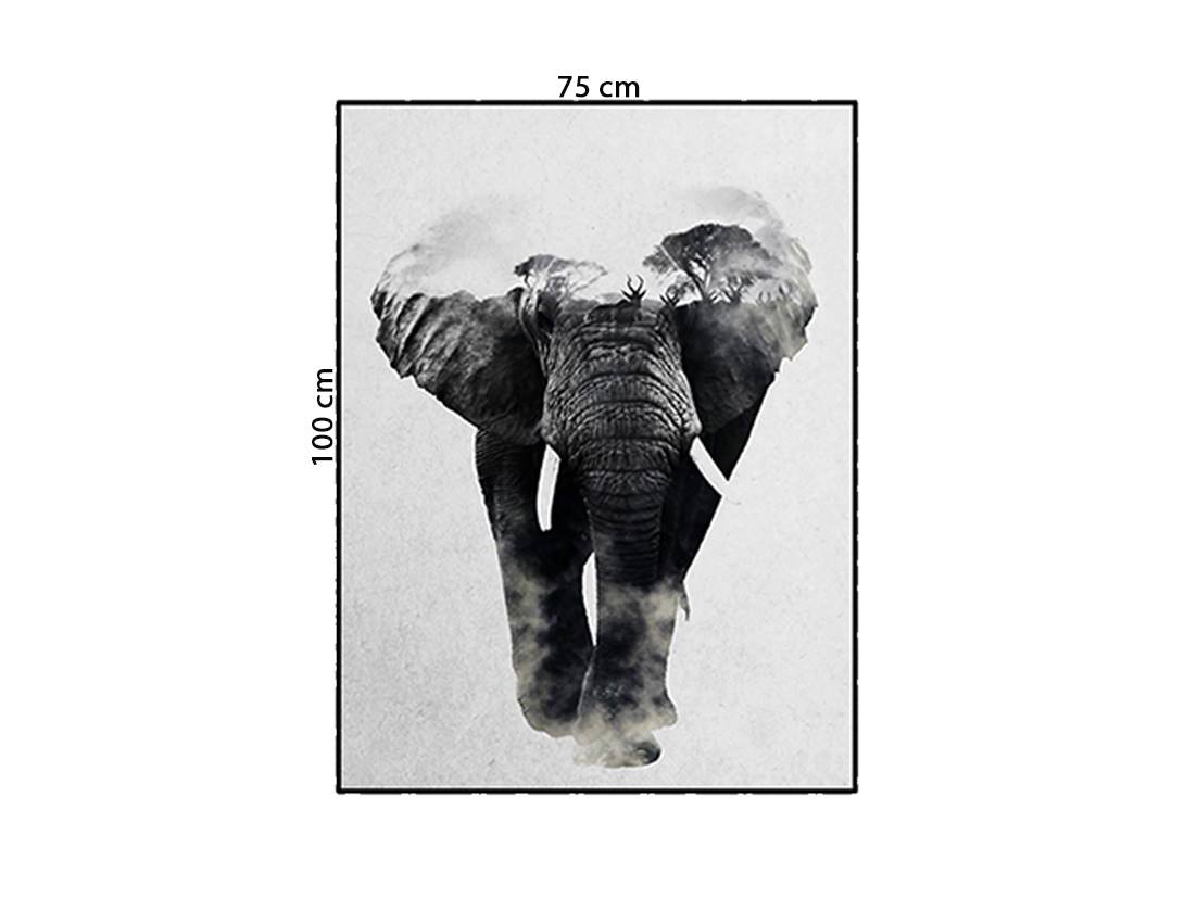 Tranh Chú Voi Bản Đôn - HD833