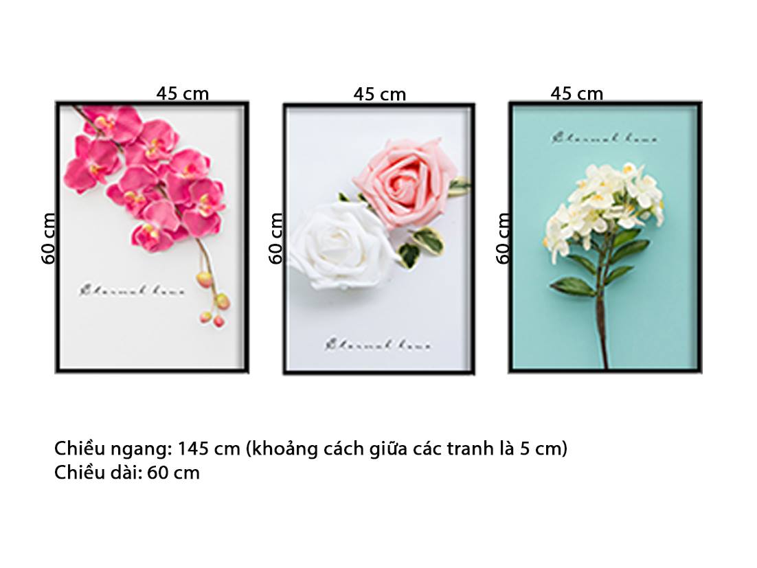 Bộ 3 Tranh Hoa Hồng Và Mộc Lan Khoe Sắc - HD839