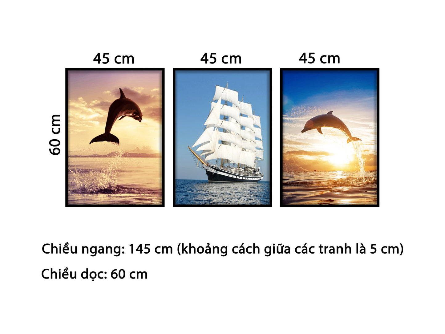 Bộ 3 Tranh Thuyền Và Cá Heo - HD829