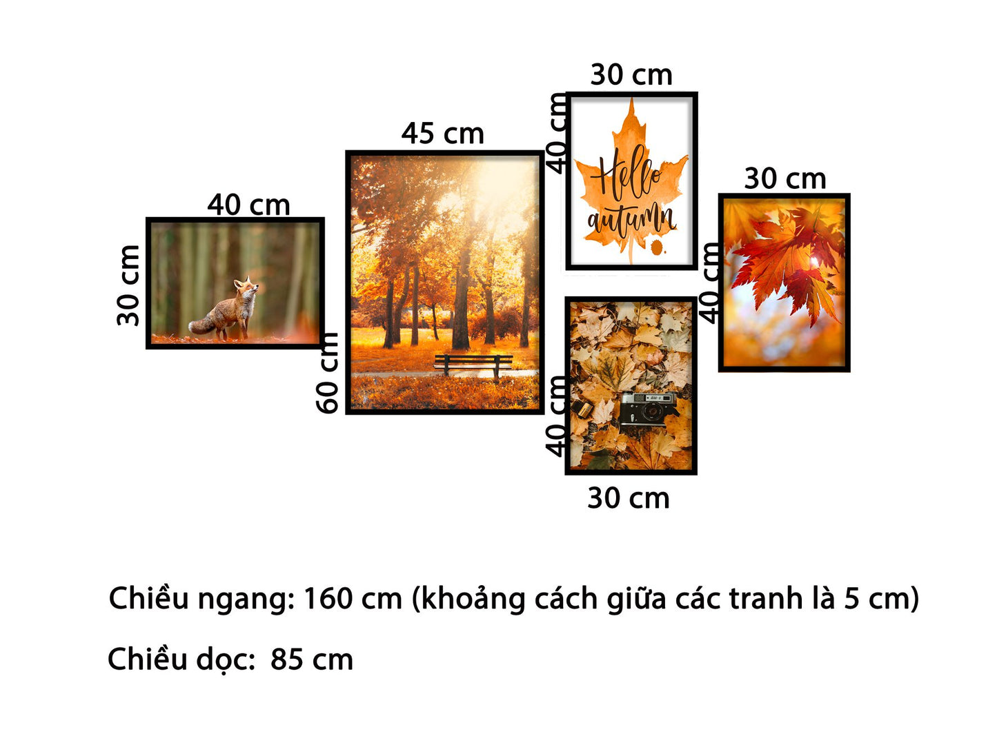 Bộ 5 Tranh Rừng Lá Mùa Thu - HD826