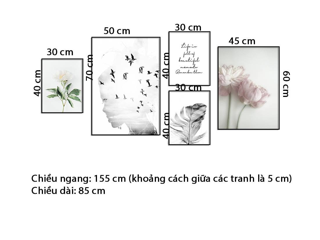 Bộ 5 Tranh Đàn Chim Bay, Hoa Lá Và Quotes - HD842