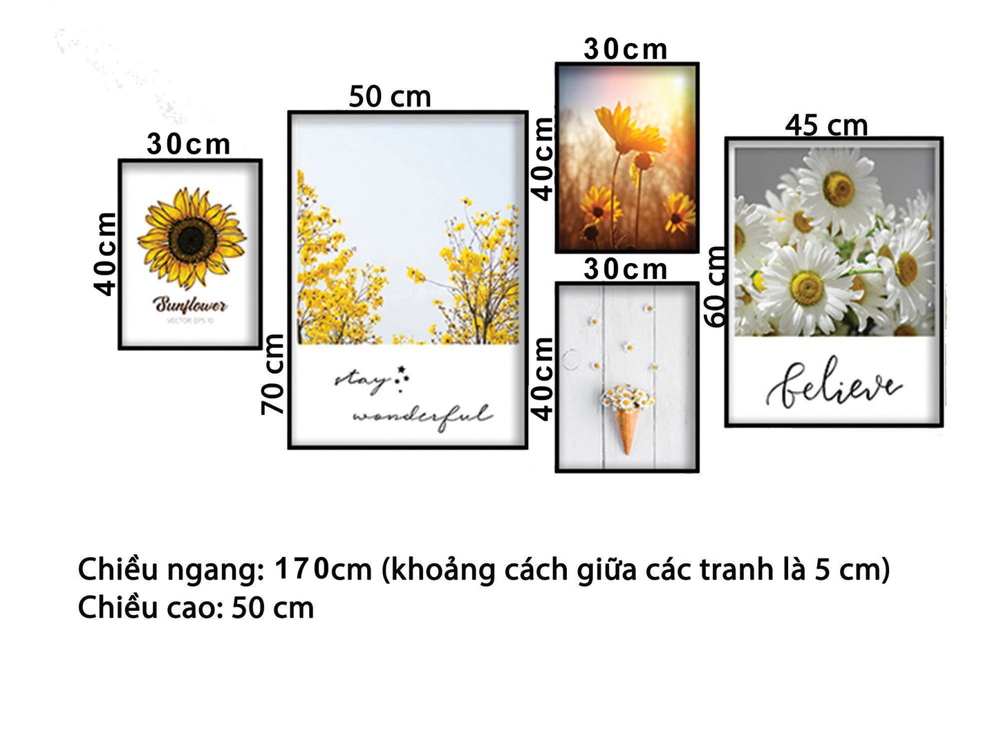 Bộ 5 Tranh Hoa Cúc Trắng Và Hoa Hướng Dương - HD878