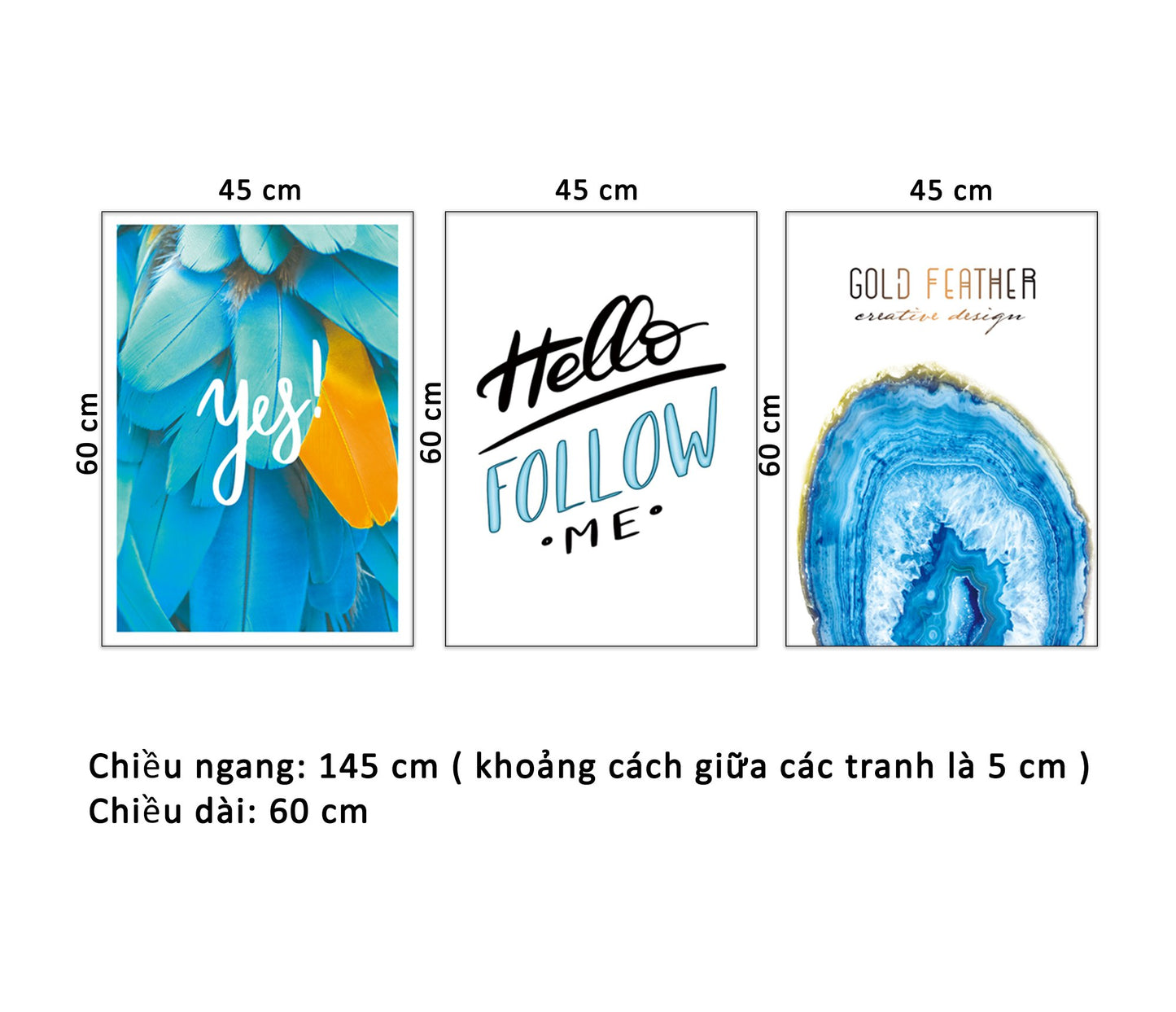 Bộ 3 Tranh Lá Cây, Vân Gỗ Và Quotes Hello Follow Me - HD913