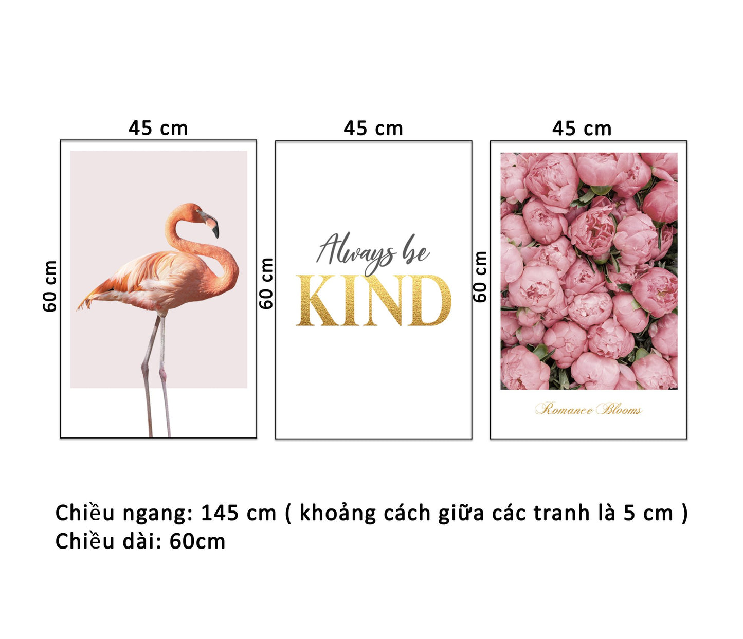 Bộ 3 Tranh Hoa, Hồng Hạc Và Quotes Always Be Kind - HD935