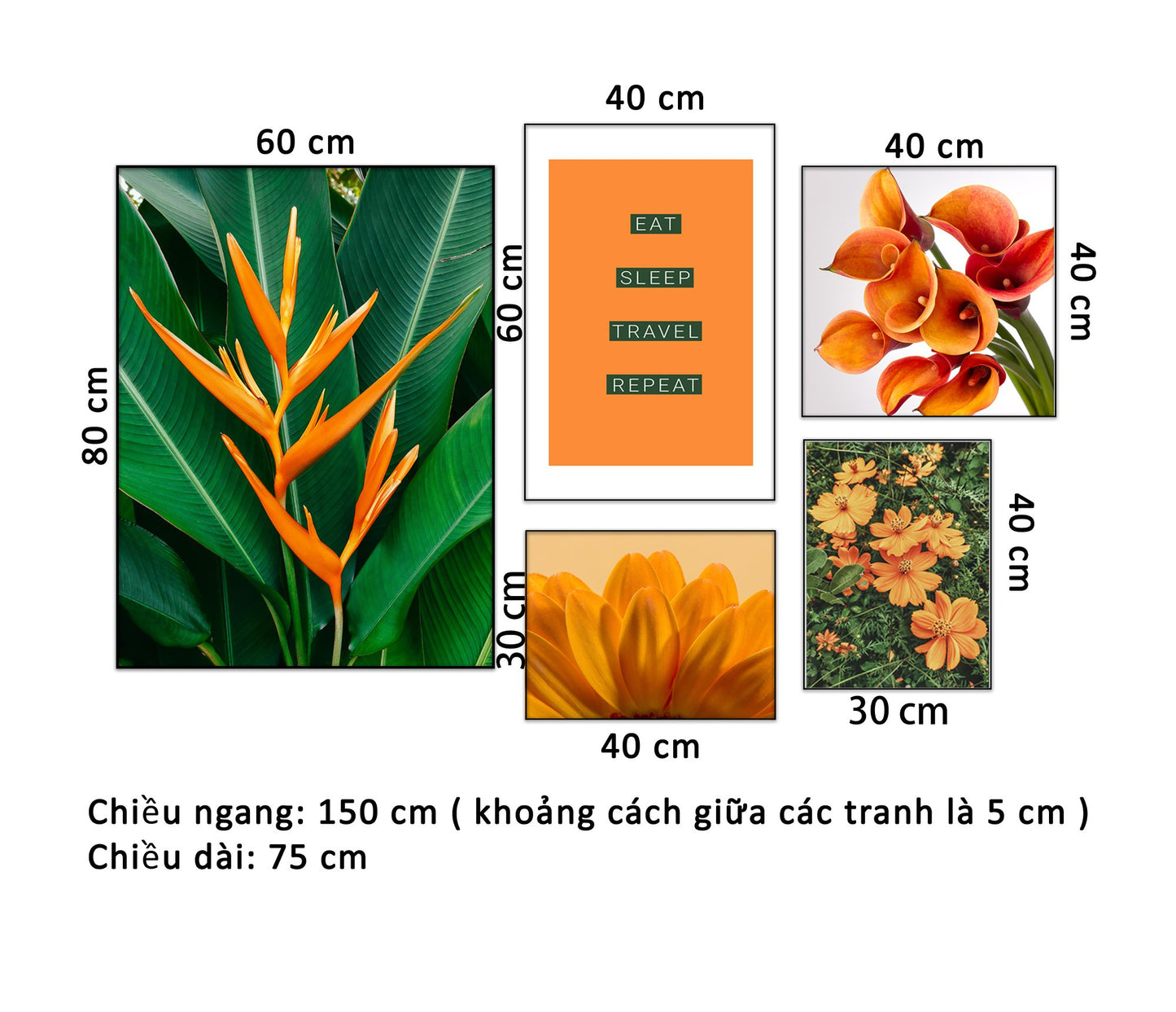 Bộ 5 Tranh Hoa Lá Và Quotes - HD917