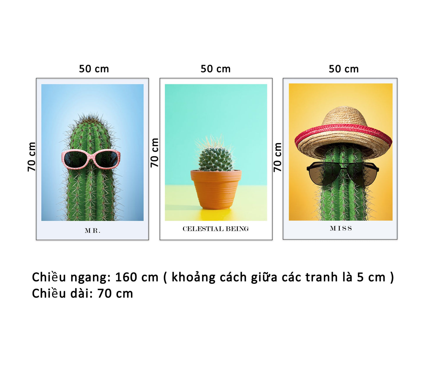 Bộ 3 Tranh Xương Rồng Ngộ Nghĩnh - HD914