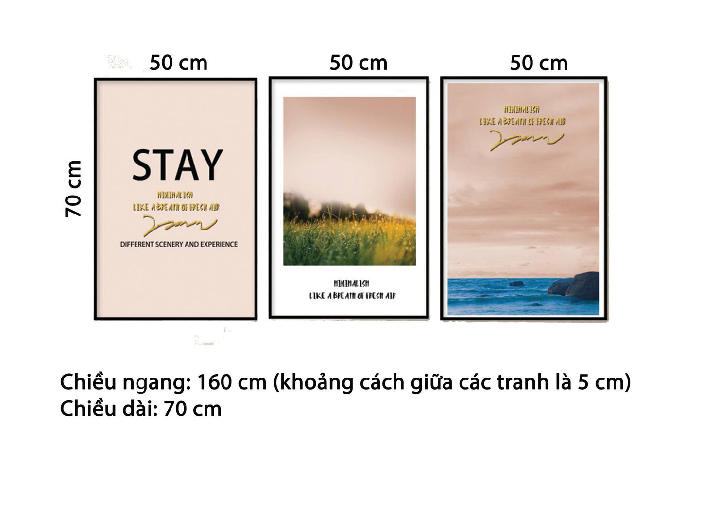 Bộ 3 Tranh Đồng Cỏ, Biển Cả Và Quotes - HD950