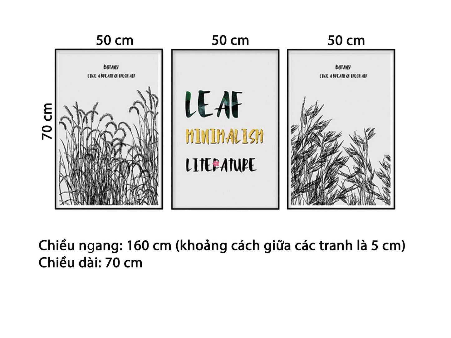 Bộ 3 Tranh Cánh Đồng Cỏ Và Quotes - HD929