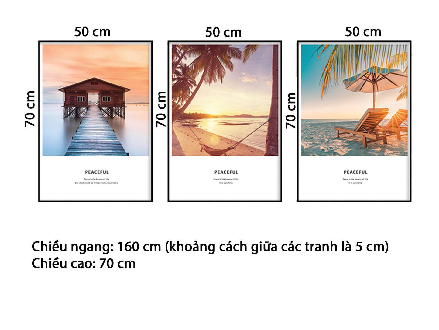 Bộ 3 Tranh Rực Rỡ Của Biển - HD885