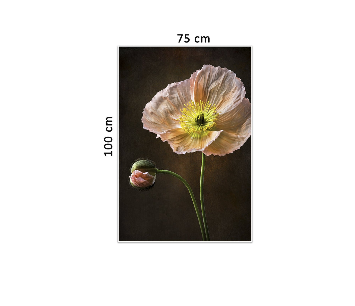 Tranh Cánh Hoa Tinh Tế - HD932