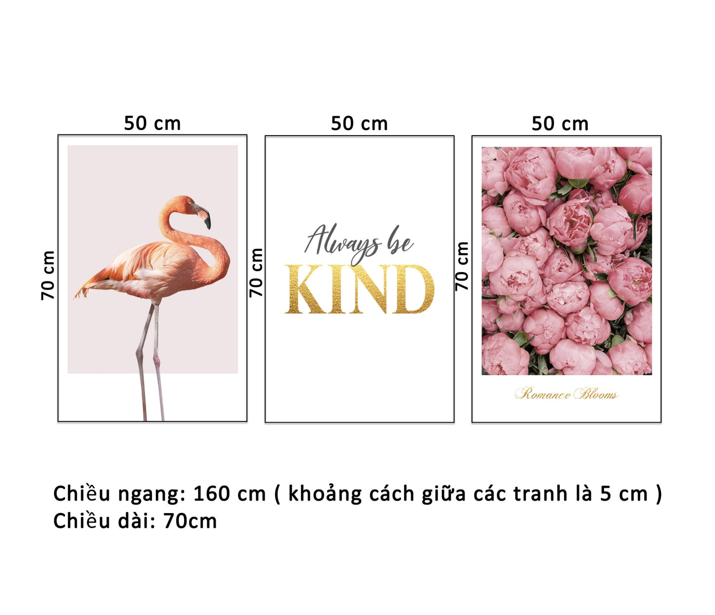 Bộ 3 Tranh Hoa, Hồng Hạc Và Quotes Always Be Kind - HD935