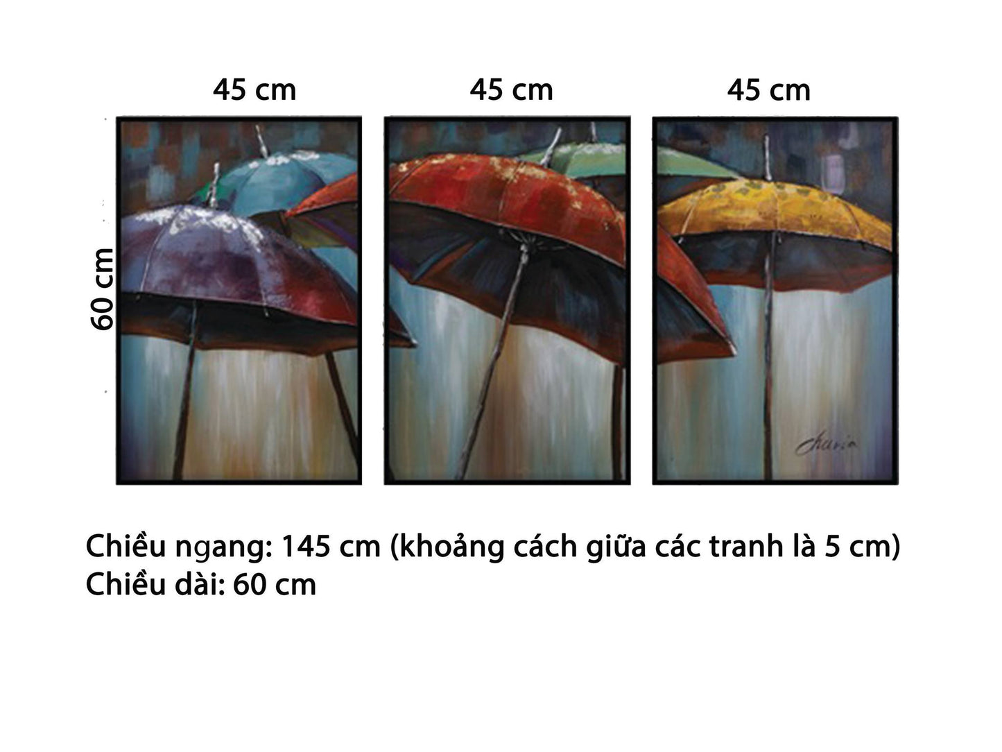 Bộ 3 Tranh Những Chiếc Ô - HD906