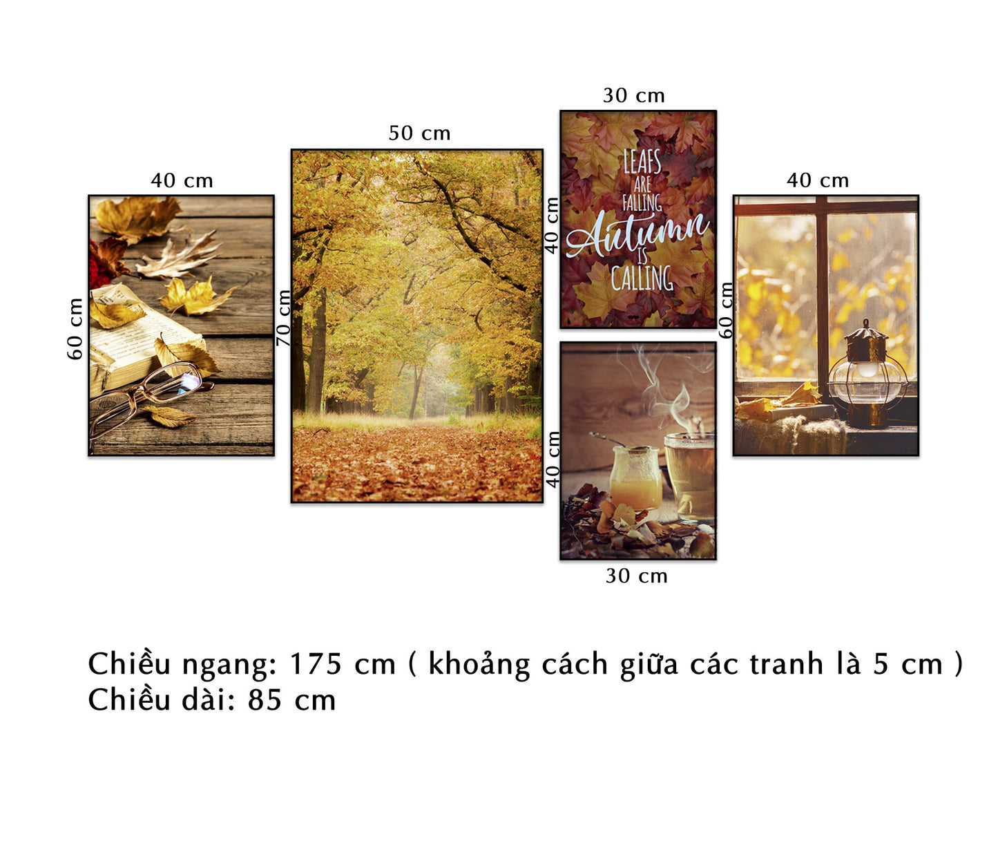 Bộ 5 Tranh Rừng Lá Mùa Thu - NT018