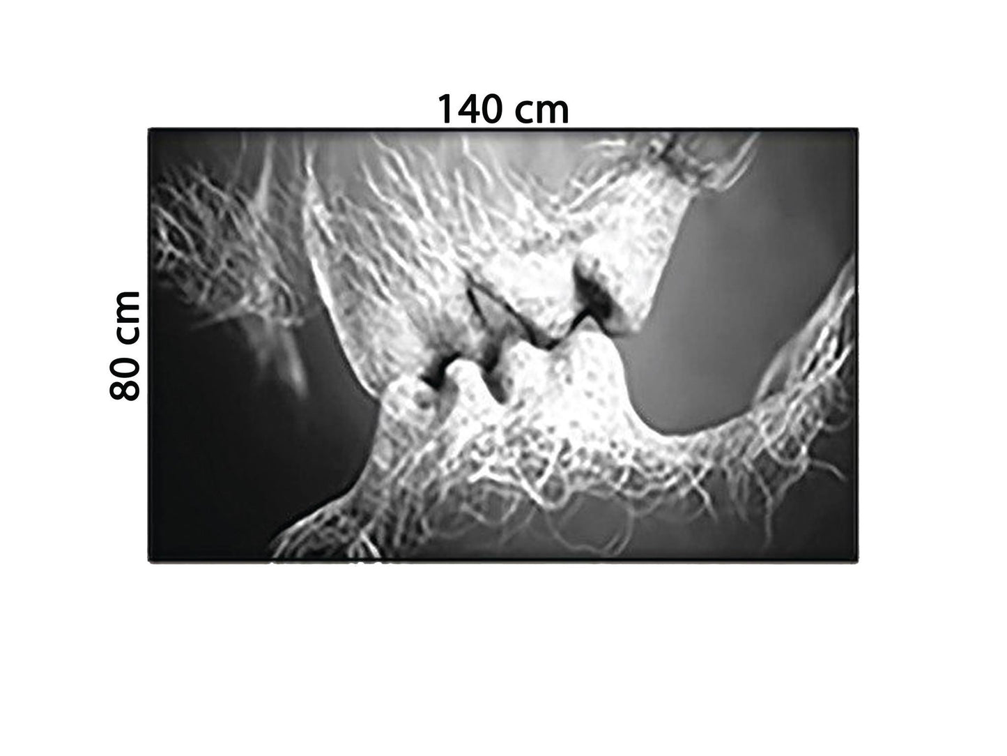 Tranh Nụ Hôn Nồng Cháy - HD966