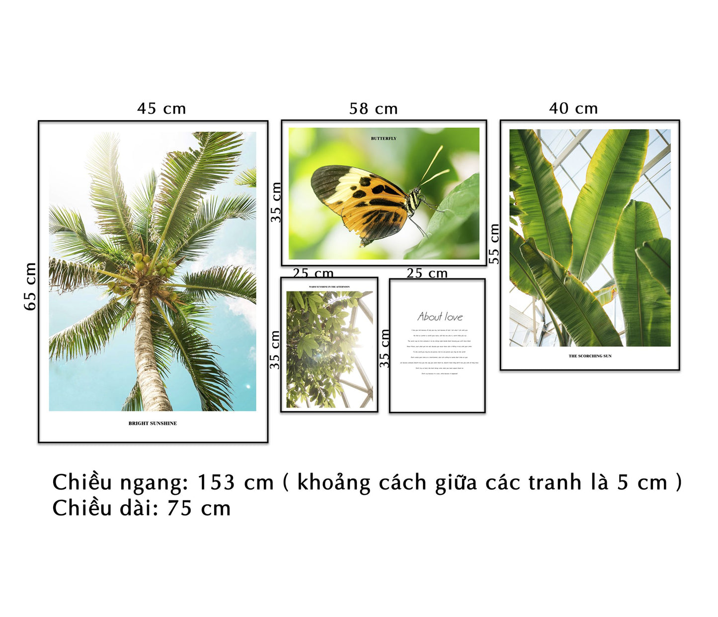 Bộ 5 Tranh Lá Cây Xanh Mát - NT022