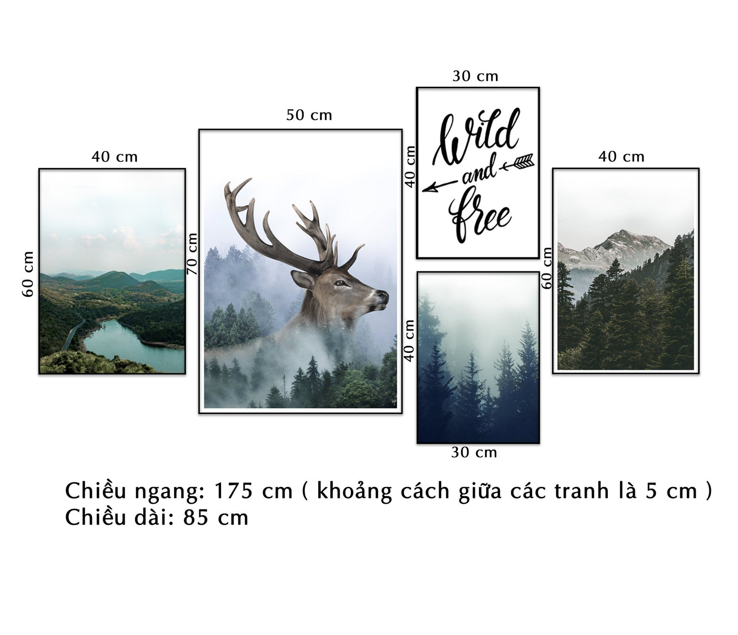 Bộ 5 Tranh Hươu, Rừng Núi Và Quotes - NT025