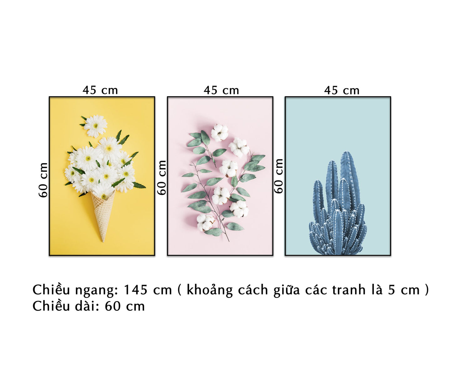 Bộ 3 Tranh Các Loài Cây Và Hoa - NT045