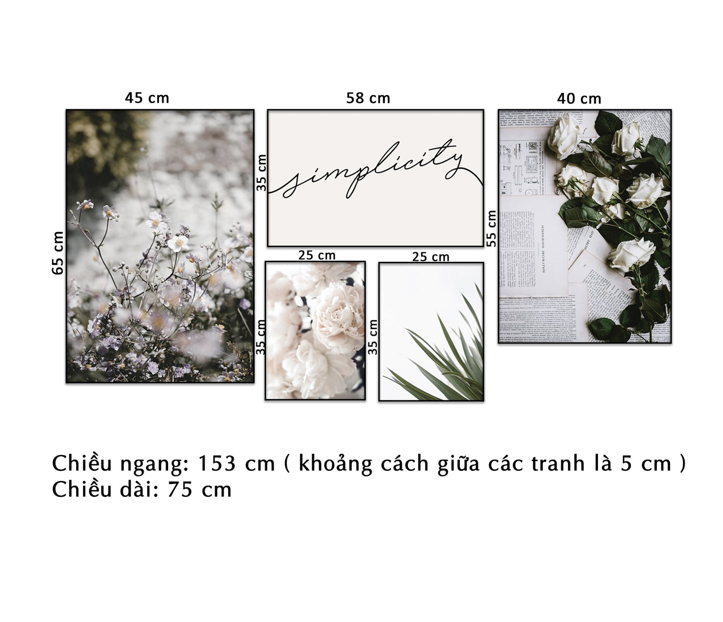 Bộ 5 Tranh Hoa Lá Và Simplicity - NT062