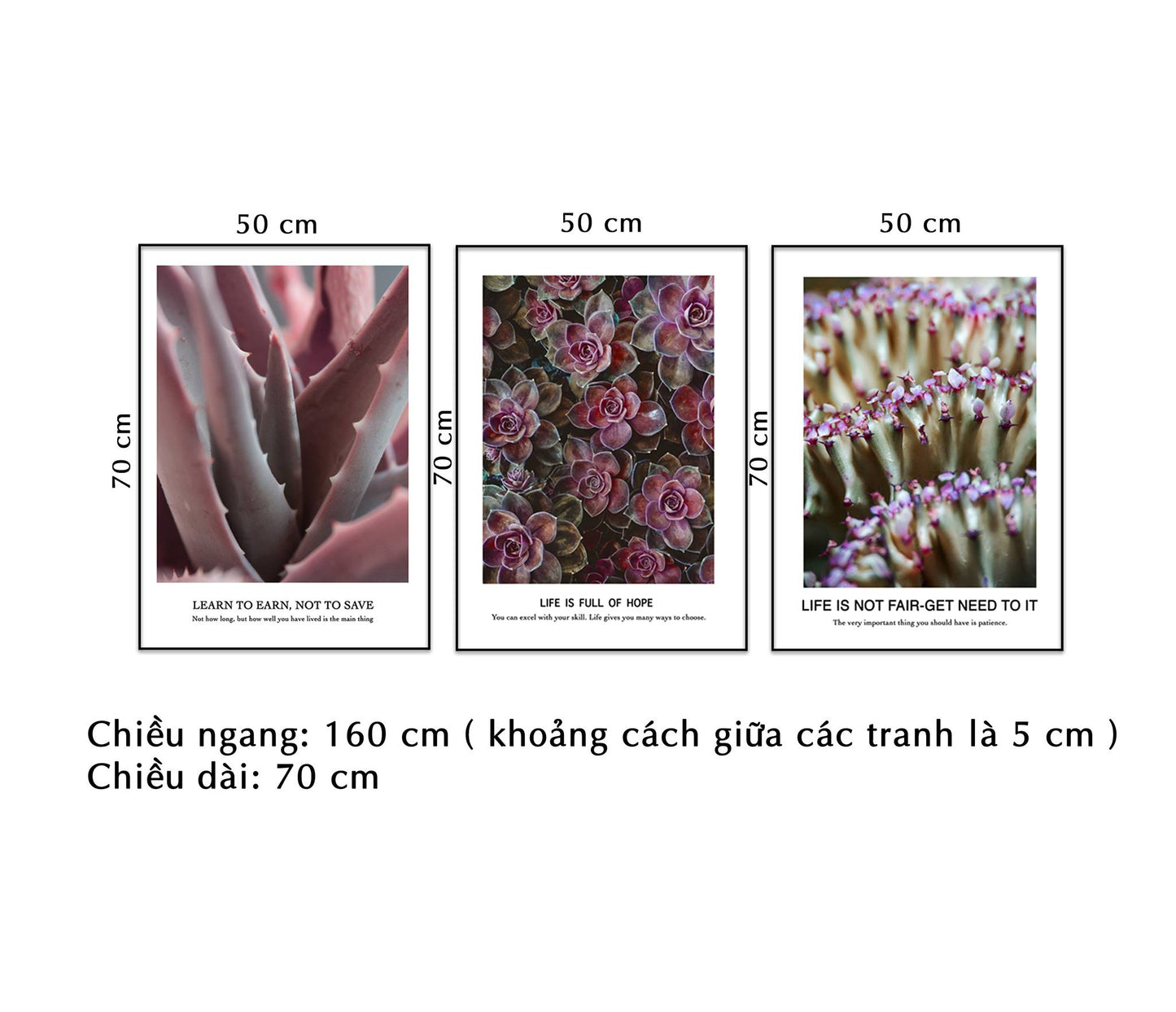 Bộ 3 Tranh Vườn Hoa Và Nha Đam - NT079