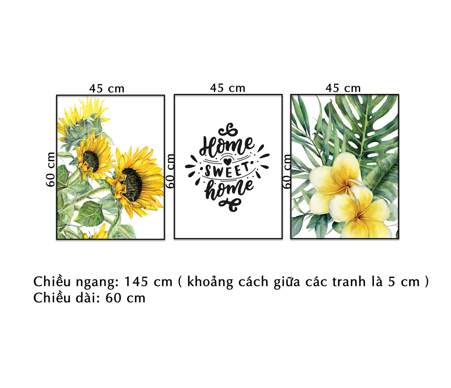 Bộ 3 Tranh Quotes, Hoa Hướng Dương Và Hoa Sứ - NT069