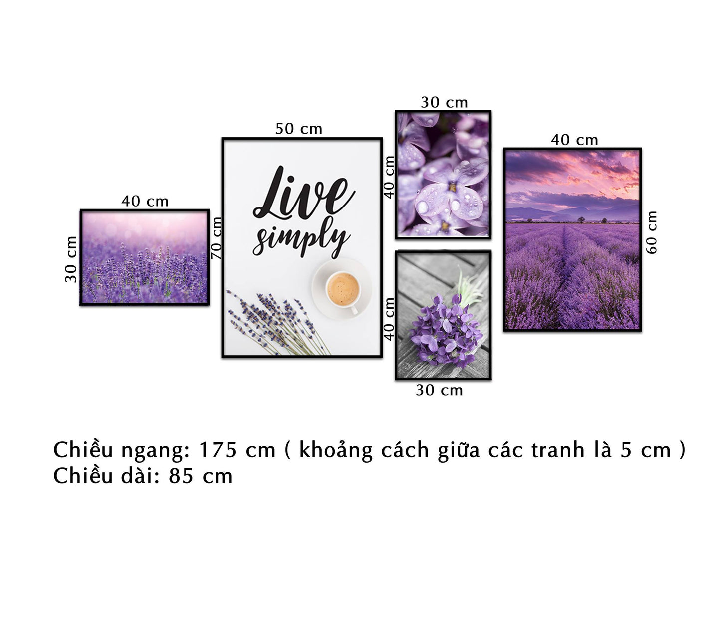 Bộ 5 Tranh Hoa Oải Hương - NT205