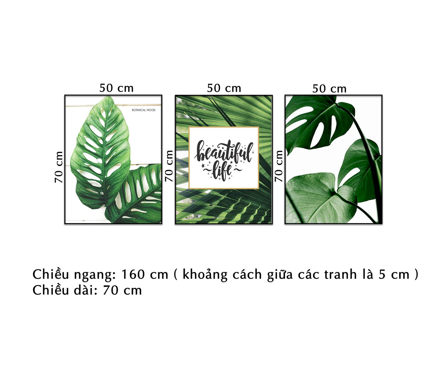 Bộ 3 Tranh Lá Xanh Tươi Mát - NT194