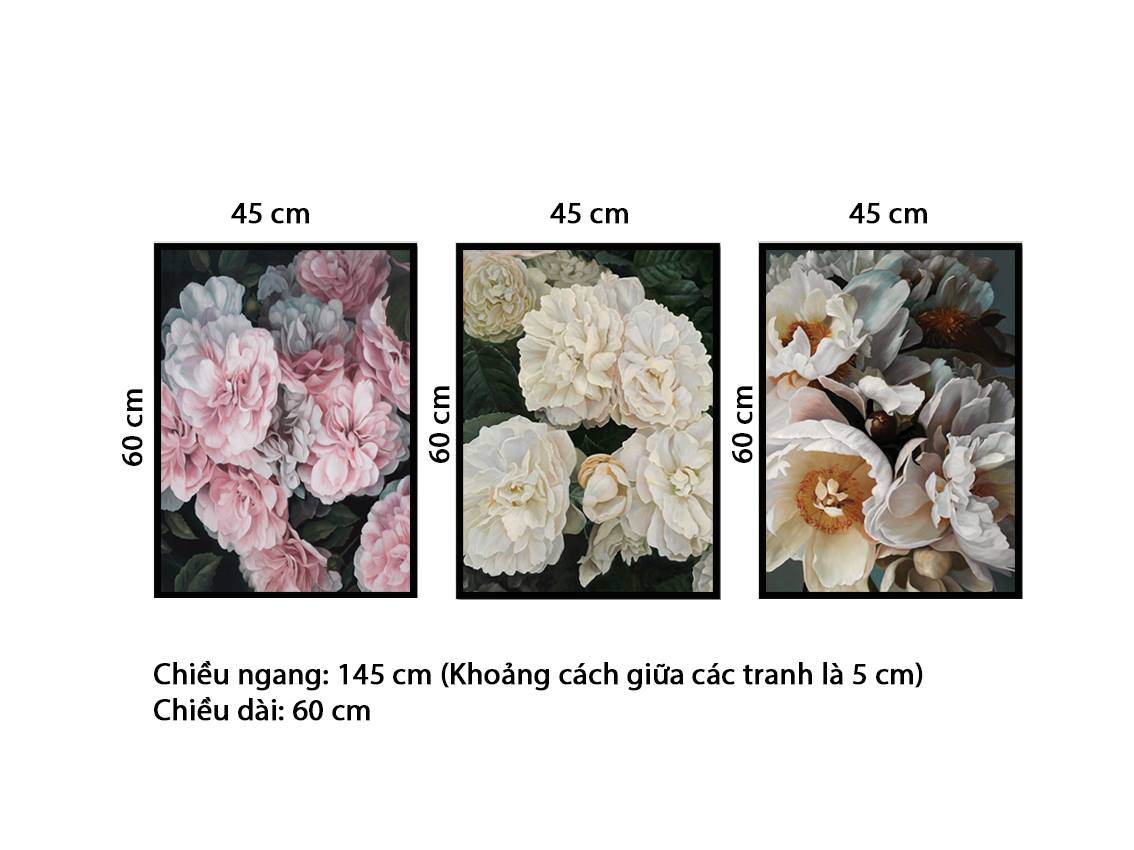 Bộ 3 Tranh Hoa Mẫu Đơn Rực Rỡ - NT182