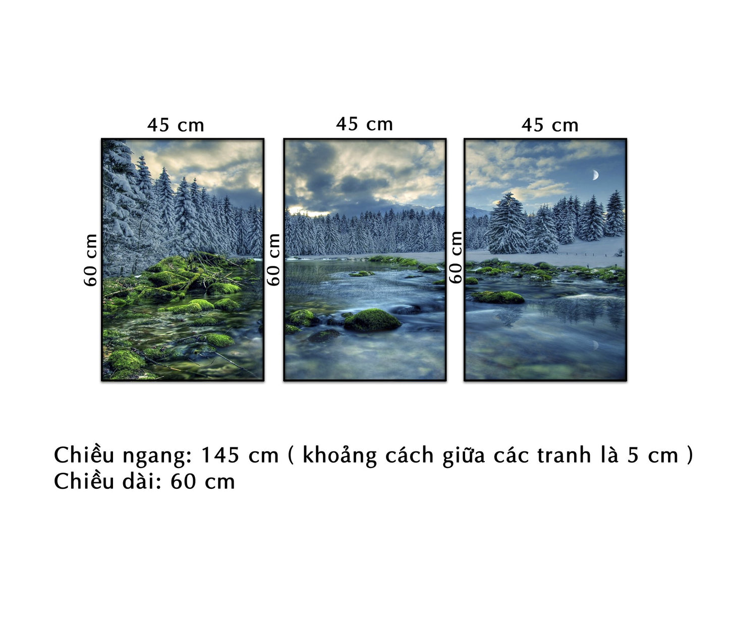 Bộ 3 Tranh Rừng Thông Về Đêm - NT114