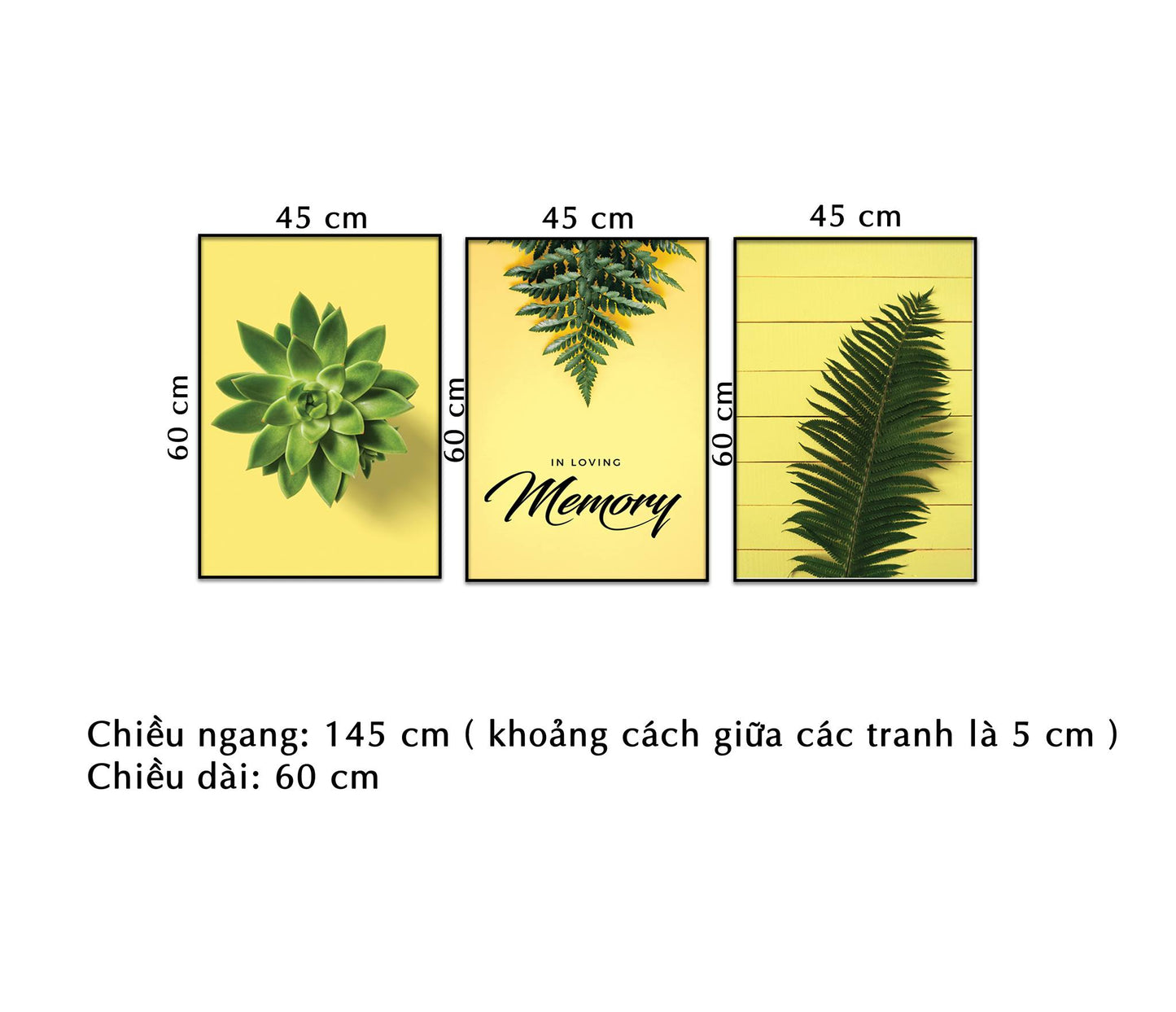 Bộ 3 Tranh Sen Đá Và Lá Cây Xanh - NT135