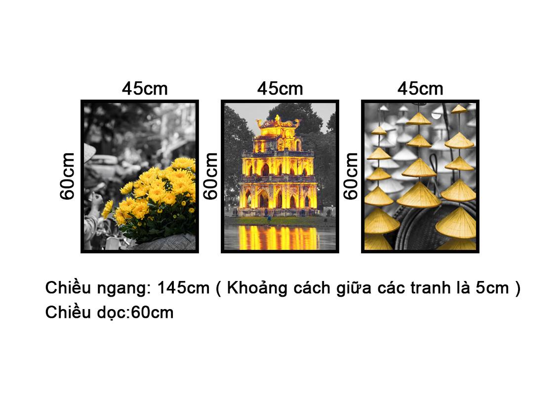 Bộ 3 Tranh Hồ Gươm, Hoa Cúc Và Nón Lá - NT202
