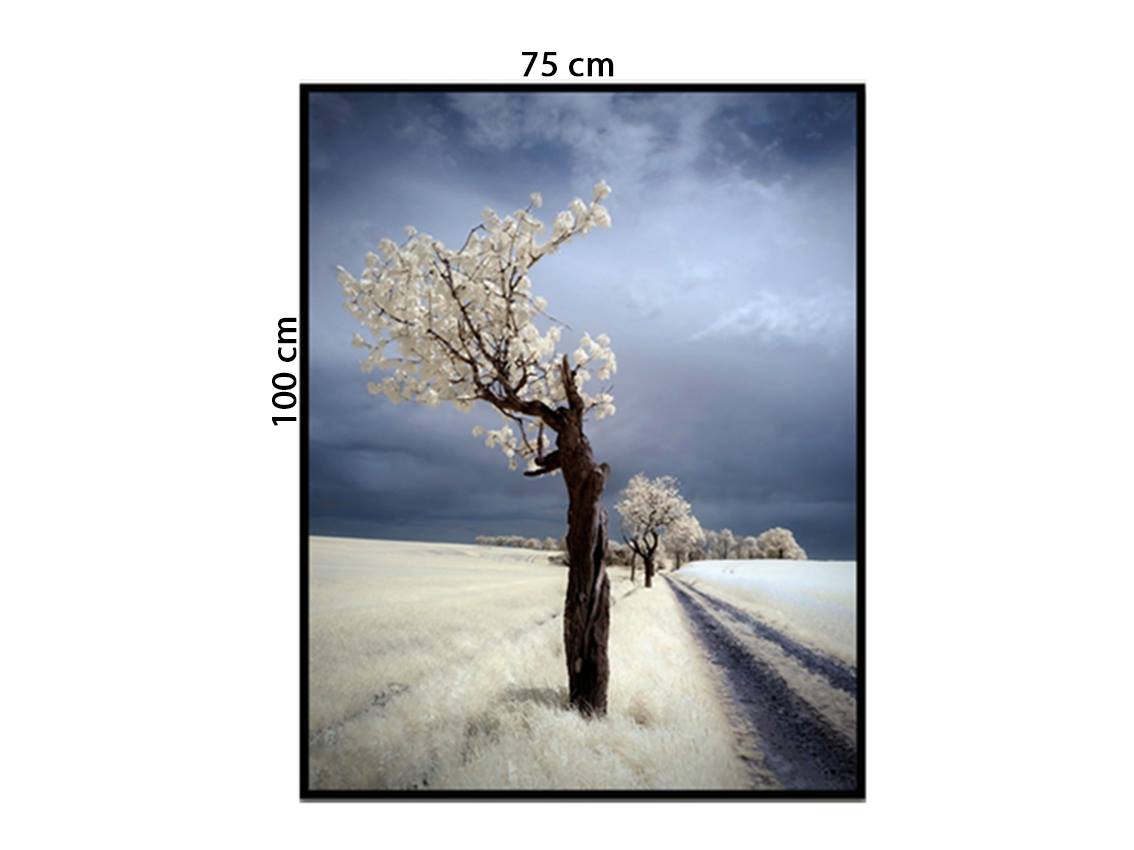 Tranh Cây Hoa Giữa Đồng Cỏ Trắng Tuyết - NT147