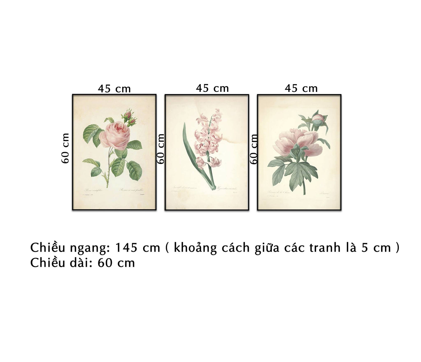 Bộ 3 Tranh Hoa Lá Nhẹ Nhàng - NT244