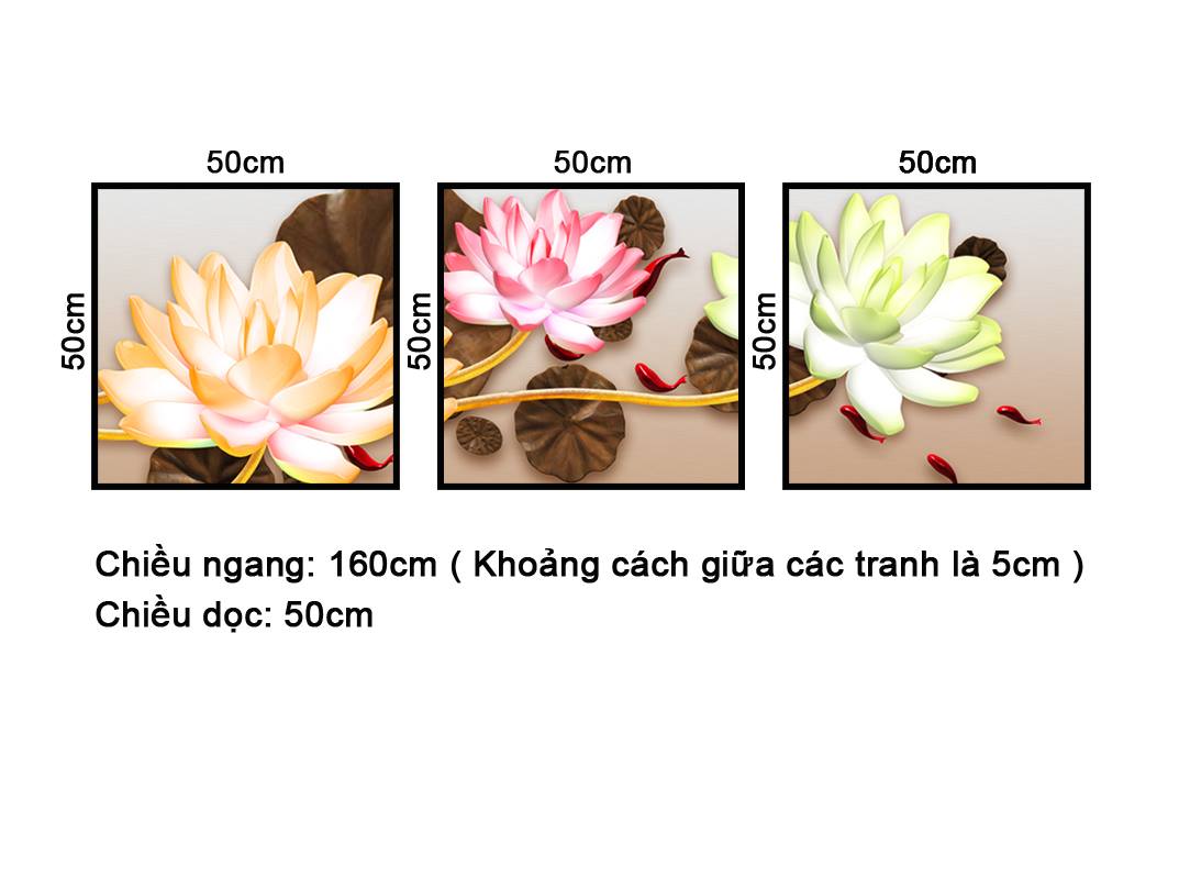Bộ 3 Tranh Hoa Sen Khoe Sắc - NT152